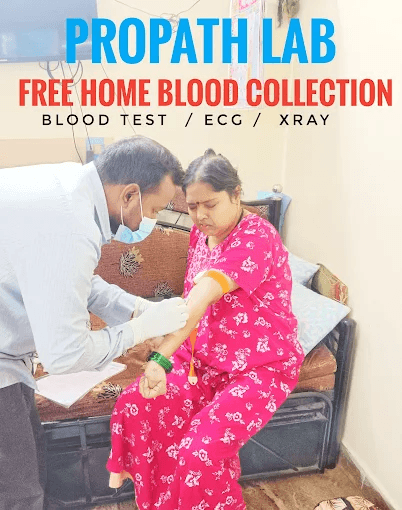 Free home blood collection visit